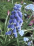 blues