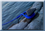  the blue rope...