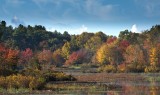 Autumn splendor