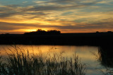 Wetland Sunset