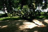 27th July 2008 - City Park after Storm
