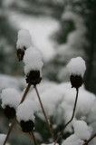 22nd November - First snow