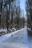 Boulevard