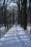 Boulevard