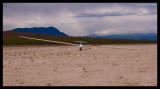 dry lake crowd