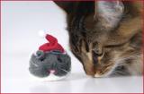 Beau & Santa Mouse