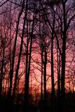 Jan. 17 - sunrise