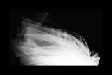 tulle