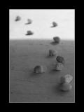 stones