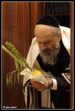 Hoshana Rabbah