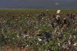 Ethiopia