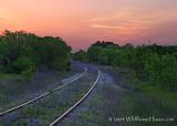Sunset Bluebonnet Railroad
