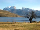 Laguna Azul, Torres del Paine, Chile