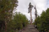 Alerce Mountain Lodge, Puerto Montt