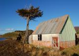 Puerto Williams, Patagonia