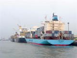 M/V Tove Maersk & 2 MSC Vessels at the berth