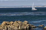 Pacific Grove_05.jpg