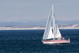 Pacific Grove_06.jpg