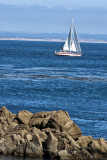 Pacific Grove_07.jpg