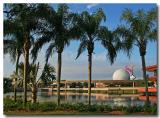 epcot palms