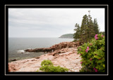 Thunder Hole seascape