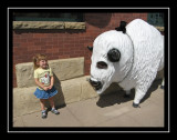 Black Cat riding the albino bison