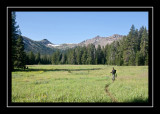 Meadow on the way to Republic Pass