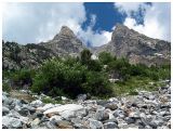 Horns of Mt. Moran