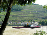 175 Rhine.jpg