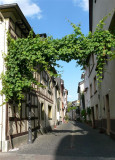 383 Boppard.jpg