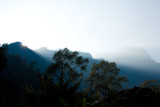 Chang Dao Nest, Chiang Mai, Thailand 2008
