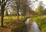 Stream In The Park