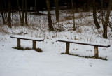 Winter Repose