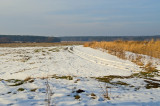 Winter Landscape