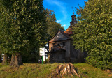 Church In The Trees