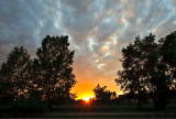 The Last Rays