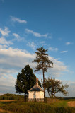 St. Nepomuk Shrine And Trees