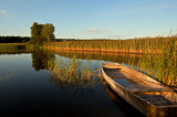 The Boat On The Pond