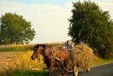 Hay Ride