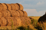 Bales Of Straw