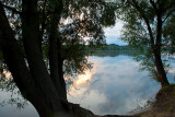 Leaning Over The River