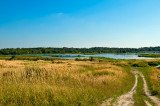 Lake After The Sulphur Mine