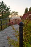 Bridge In The Gardens