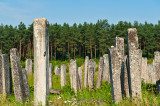 Jewish Cemetery In Brody