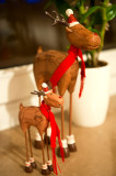 Rudolf And Junior