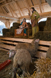 Nativity Scene At Plac Krasinskich