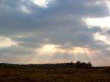 Rays Over South Roztocze