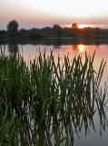 Bug River Evening