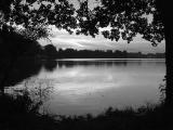 Evening Pond
