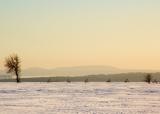 Cold, Cold Winter